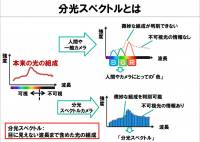 針對生態觀察與資源探索， NEC 發表可不受天候限制的光解析技術