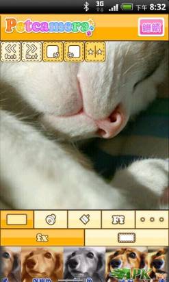 [有寵人士必看] 來自日本的寵物專用照相軟體Petcamera