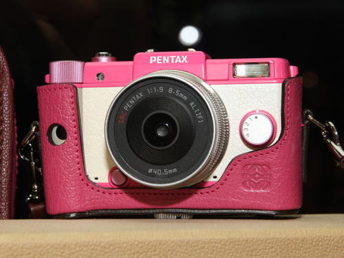 LOEWE x PentaxQ 粉紅皮質相機包