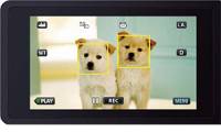 JVC 全新 Everio 攝影機首創貓犬辨識功能！