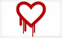 網絡告急: 你必須知道新發現災難性網絡錯誤 “Heartbleed”