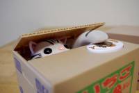 日本貓咪儲金箱之猜猜誰是拷貝貓！
