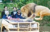 最恐怖的動物園