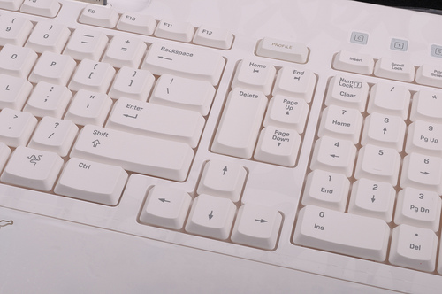 Razer Pro | Type -- 一只增添生活品味及時尚感的鍵盤