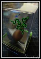 Razer Mamba 簡易評測