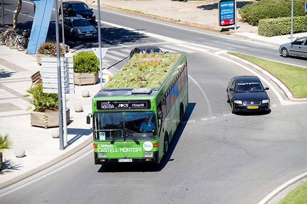 公車車頂綠化計畫，讓車內溫度明顯降低 3˚