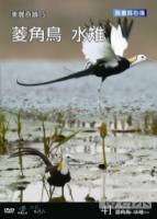 台灣脈動41-美麗奇蹟5菱角鳥 水雉 DVD