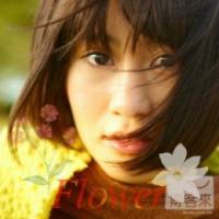 前田敦子 Flower〈Act 1〉 CD+DVD