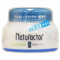 日本Naturactor植物派深層潔顏乳霜120g