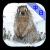 《iOS App》冰河鼠的毛皮：看小說學日文 （中日文對照）