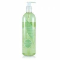 【ARDEN 雅頓】綠茶香水沐浴膠 500ml