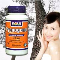 《NOW》Pycnogenol®-專利法國松樹皮 60顆 瓶