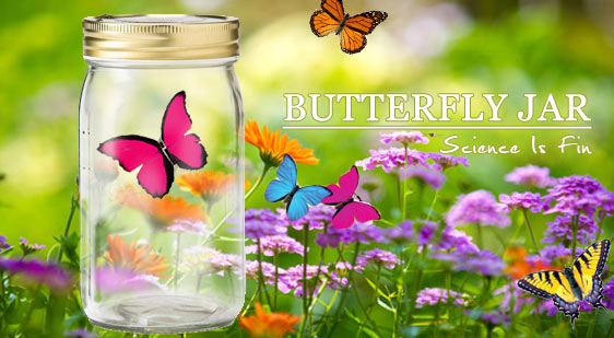 仿生蝴蝶罐Butterfly jar-桃紅
