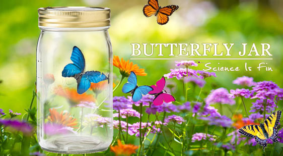 仿生蝴蝶罐Butterfly jar-迷幻藍
