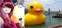 出發尋找黃色小鴨–「高雄黃色小鴨 Rubber Duck」 行程安排優惠一把罩