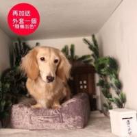 Soarbed 寵物沙發窩小型犬可拆洗寵物高密度泡棉床 貨號MF03