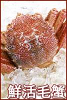 鮮活紅毛蟹 600~800g 隻