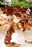 免運【活蟹到府】北海道三大名蟹之首 帝王蟹 3.0~3.4kg 隻