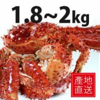 【尋鮮本舖】產地直送の頂級熟凍帝王蟹。1.8~2kg 隻