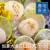 【尋鮮本舖】加拿大進口L超大干貝。300g 包 8~10顆