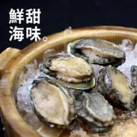 【尋鮮本舖】海味之冠の生凍帶殼盤鮑。350g 包 8顆入