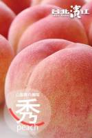 【已售完】最夢幻幸福的夏日滋味-日本山梨縣溫室水蜜桃 5入 盒