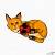 今日新聞淺談：iOS 用戶也能下載到 firefox 正式版 APP 了