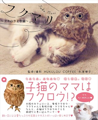 大阪超有名的 “貓頭鷹與小貓好朋友” 咖啡廳，推出雙貓寫真集
