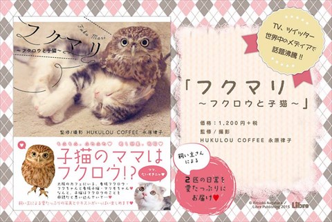 大阪超有名的 “貓頭鷹與小貓好朋友” 咖啡廳，推出雙貓寫真集