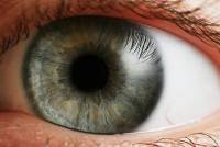 科學家在眼球內發現新的人體組成，能夠改善角膜移植手效果