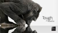 Corning Gorilla Glass 將在 2014 年用在汽車上！