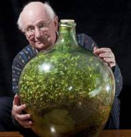全球最小生態系「瓶中花園」已舉世隔離53年