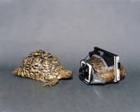 讓人驚異的相機：利用龜殼 書本等等與眾不同材料所改作的相機機身